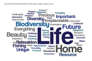 Wordcloud: What the Indian River Lagoon Means to You