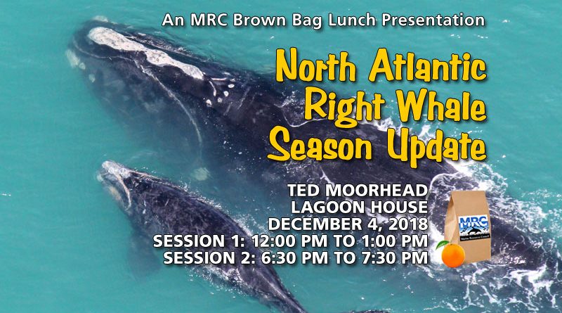 North Atlantic Right Whale Season Update