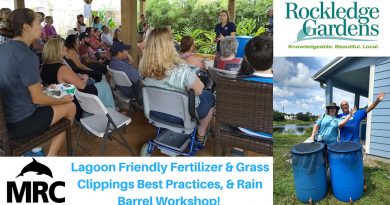 Lagoon-Friendly Lawn Care and Rain Barrel Workshop