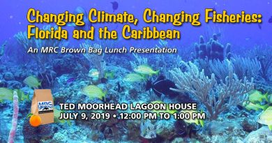July 9 Brown Bag Lunch: Changing Climate, Changing Fisheries: Florida and the Caribbean