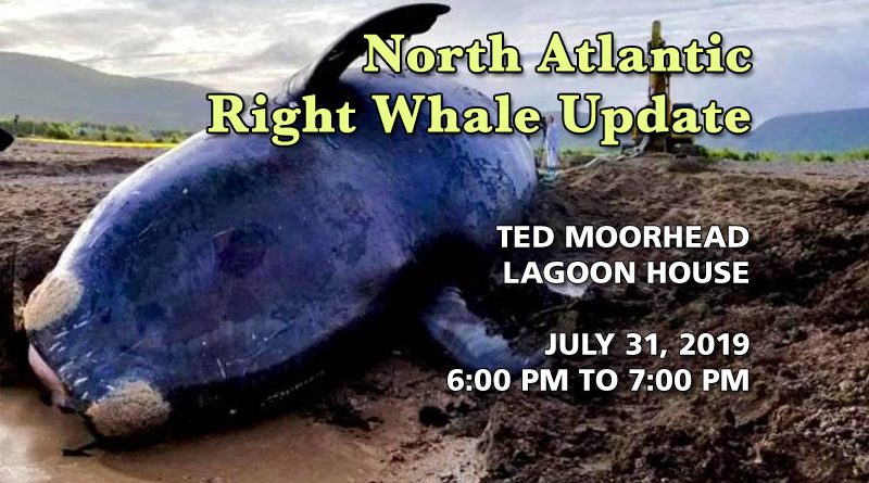 North Atlantic Right Whale Update on July 31
