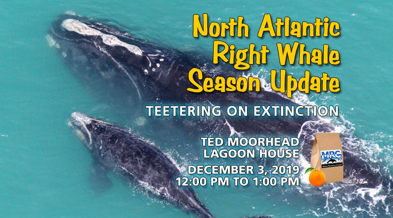 North Atlantic Right Whale Status Update