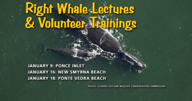 Right Whale Lecture & Volunteer Trainings