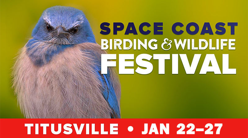 23rd Annual Space Coast Birding and Wildlife Festival