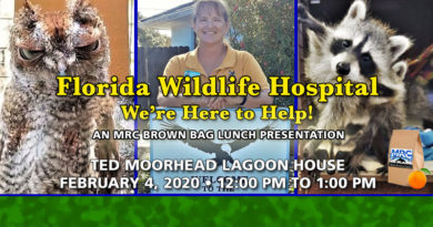 February Brown Bag Lunch Florida Wildlife Hospital