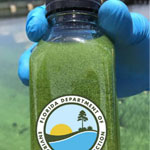 Blue Green Algae Task Force