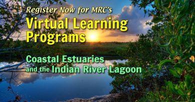 MRC is now offering FREE classroom lessons