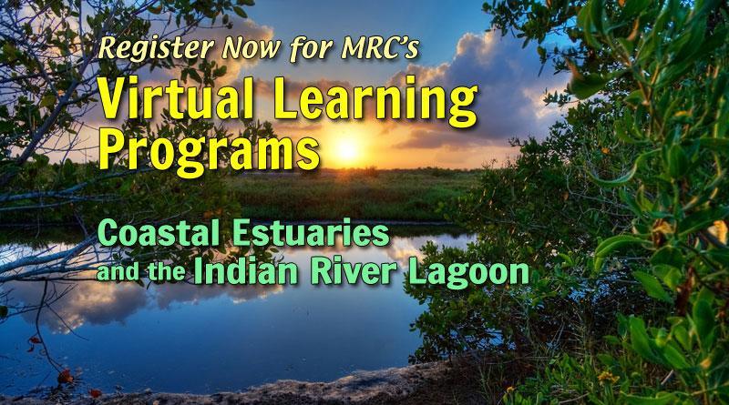 MRC is now offering FREE classroom lessons