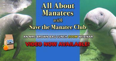 All About Manatees with Save the Manatee Club