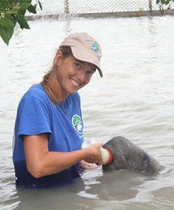 Ms. Cora Berchem, Save the Manatee Club Director of Multimedia and Manatee Research Associate