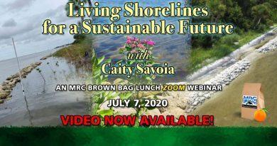 July 7 Virtual Brown Bag Seminar "Living Shorelines for a Sustainable Future