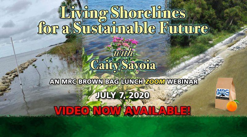July 7 Virtual Brown Bag Seminar "Living Shorelines for a Sustainable Future