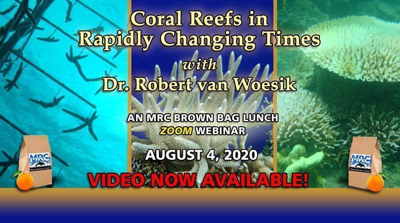 Coral Reefs: August 2020 Lunch & Learn Webinar