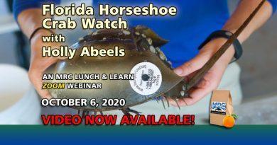 Oct. 2020 Webinar: Florida Horseshoe Crab Watch