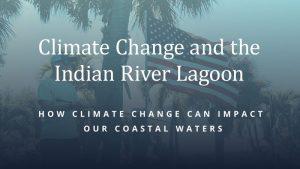 The health of our lagoon and coastal ocean is jeopardized by the increasing heat content of the ocean and atmosphere. However, it’s not too late to take action.