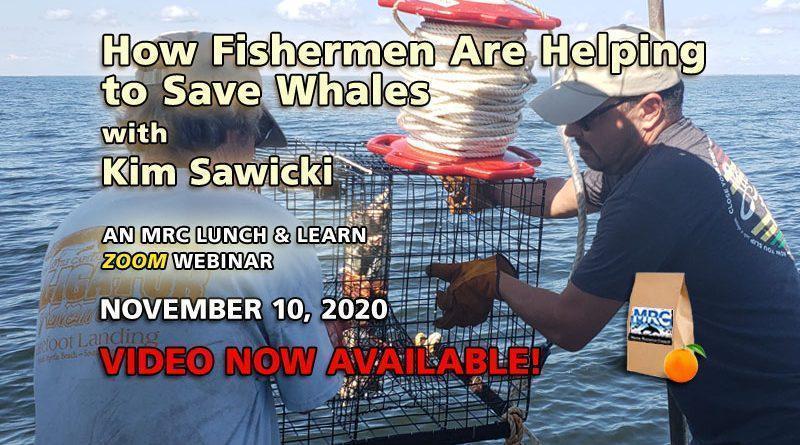 Nov. 10 Webinar: Fishermen Helping to Save Whales