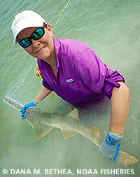 Join us for our May Lunch & Learn Webinar on the endangered sawfish!
