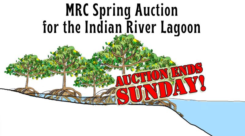 MRC Spring Auction