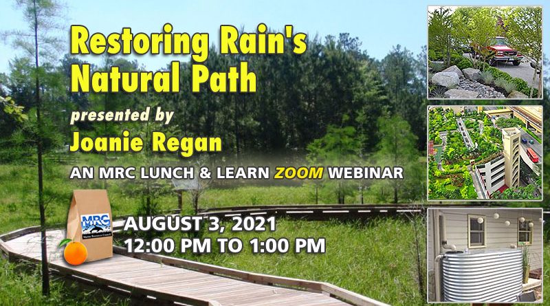 August Lunch & Learn: Restoring Rain's Natural Path