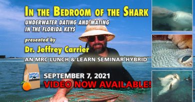 life under water Conferences