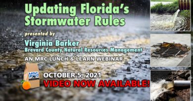 October Lunch and Learn Webinar: Updating Florida's Stormwater Rules