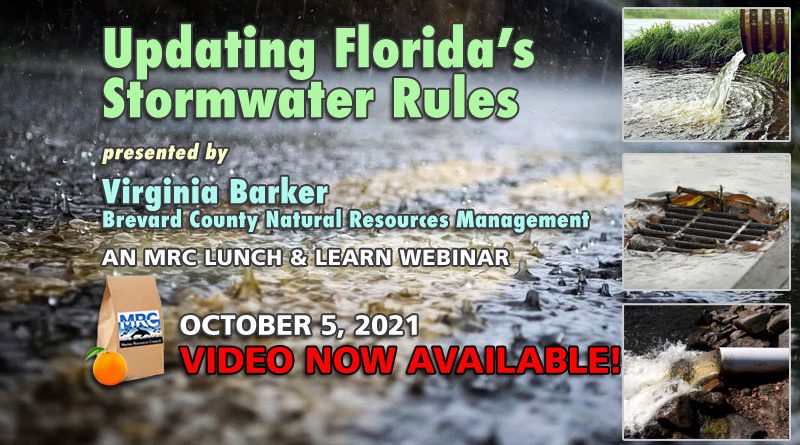 October Lunch and Learn Webinar: Updating Florida's Stormwater Rules