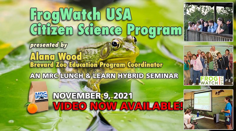 November Lunch & Learn: FrogWatch USA