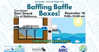 Baffling Baffle Boxes Virtual Field Trip