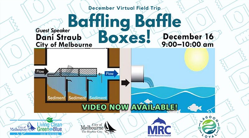 Baffling Baffle Boxes Virtual Field Trip