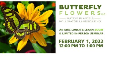 What You Plant Matters: Featuring FL Native Butterfly Flowers