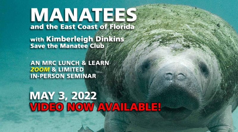 Lunch & Learn: Save the Manatee Club