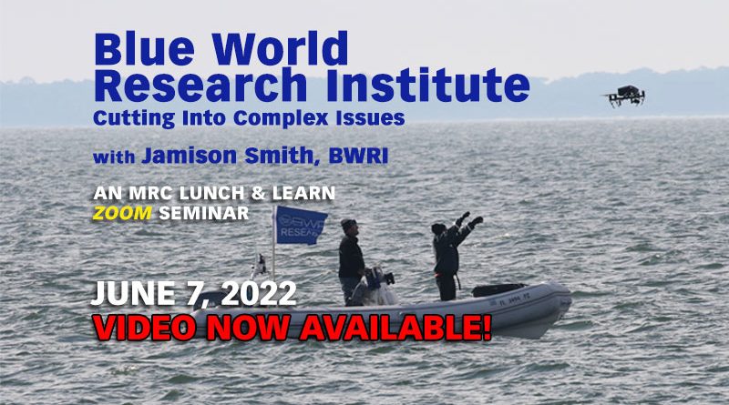 June Lunch & Learn: Blue World Research Institute