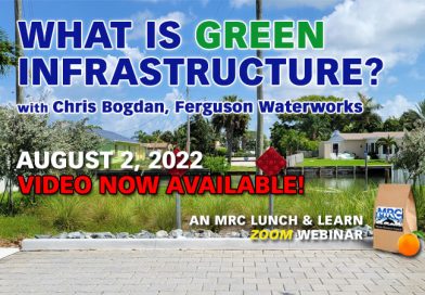 8/2 Webinar: Green Infrastructure