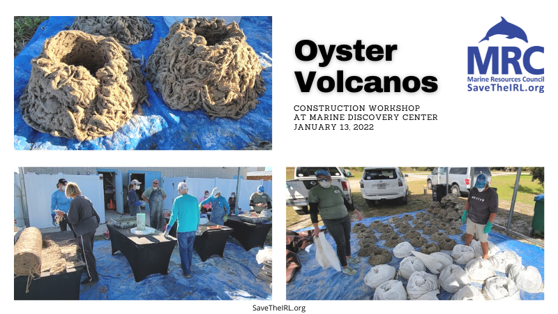 Oyster Volcano Workshop