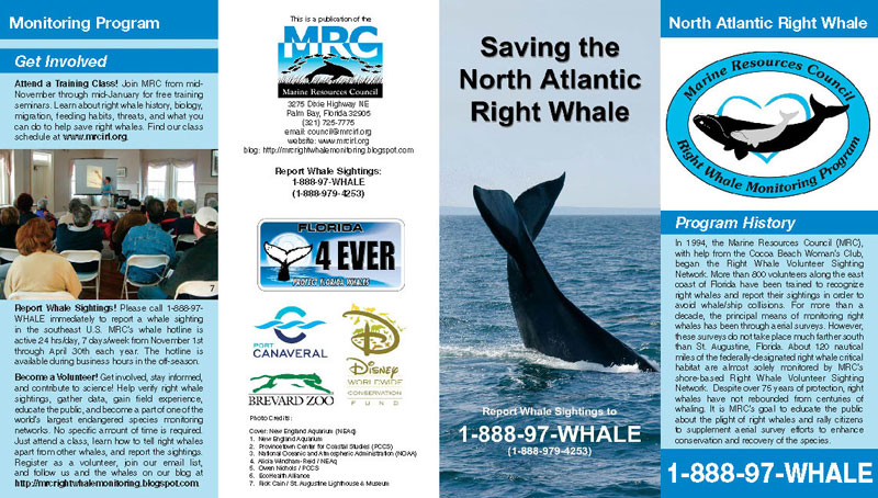Saving the North Atlantic Right Whale Brochure
