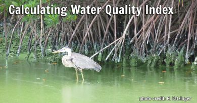 Calculating Water Quality Index