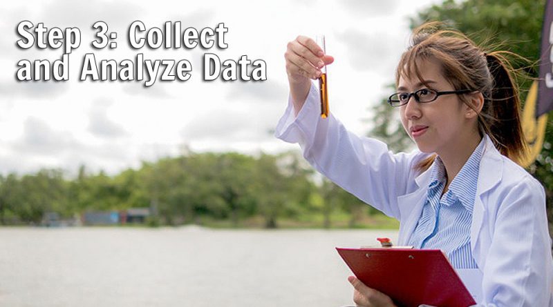 Step 3: Collect and Analyze Data