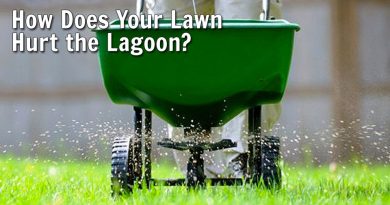 How Does Your Lawn Hurt the Lagoon?
