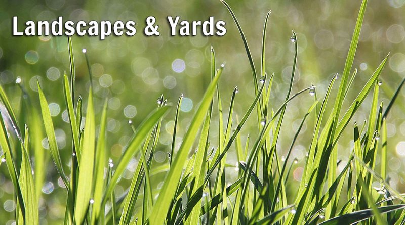 Landscapes and Yards