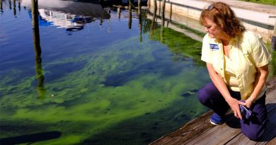 Red Tide and Green Slime: Florida Faces Epic Statewide Fight With Algae