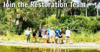 Join the Restoration Team