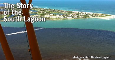 The Story of the South Lagoon