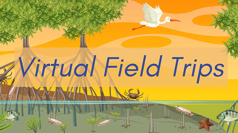 MRC's Virtual Field Trips