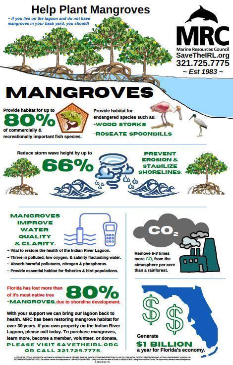 Help Plant Mangroves Poster