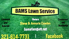 BAMS Lawn Care