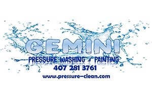 Gemini Pressure Washing & Painting