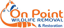 On Point Wildlife Removal