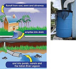 Rain barrels aid in the conservation of fresh water and they reduce the amount of storm water runoff generated by rain events.