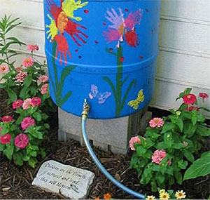 Rain barrels can help cut down on the amount of water available to pick up pollution.