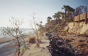 Shoreline after 2004 hurricanes
